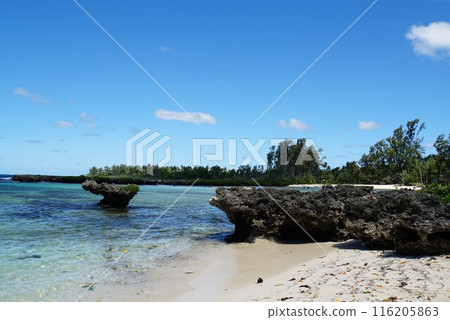 伊頓海灘風光 瓦努阿圖 伊頓海灘風光 瓦努阿圖 116205863
