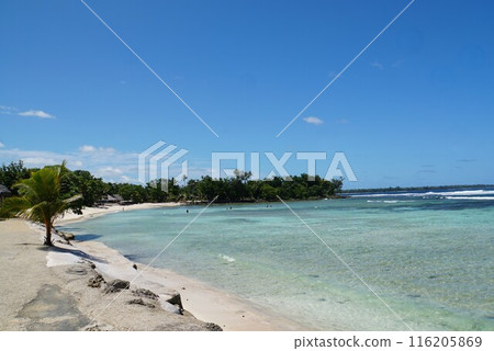 萬那杜埃法特島海景 116205869