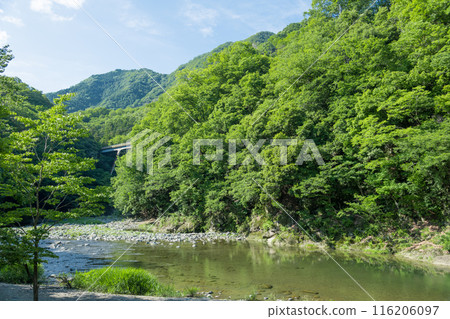 [Doshi River in early summer] 116206097