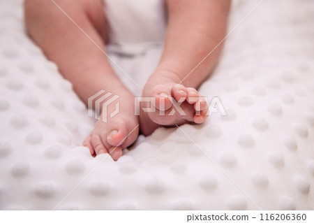 Handles and legs of the newborn baby Handles and legs of the newborn baby 116206360