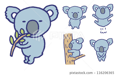 Cute koala character in a round shape 116206365