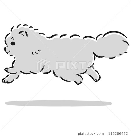 Cute hand drawn illustration of a running pomeranian 116206452