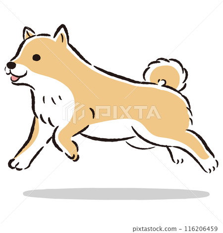Cute hand-drawn illustration of a running Shiba Inu 116206459
