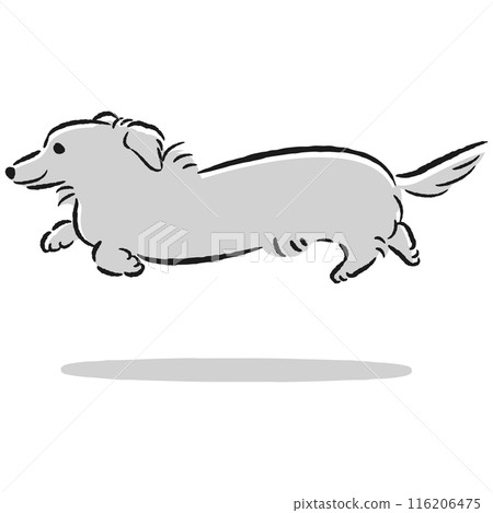 可愛的手繪插畫的奔跑臘腸犬 116206475