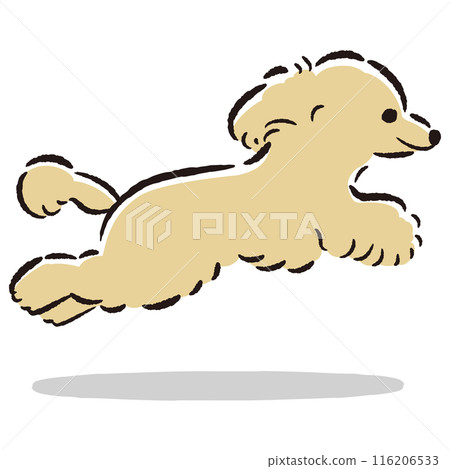 可愛的手繪插圖，一隻正在奔跑的玩具貴賓犬 116206533