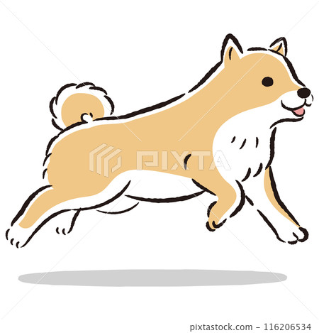 可愛的手繪插圖正在奔跑的柴犬 可愛的手繪插圖正在奔跑的柴犬 116206534