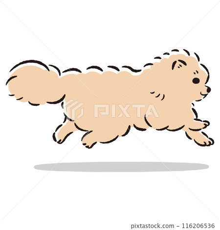 可愛的手繪插畫的跑步博美犬 可愛的手繪插畫的跑步博美犬 116206536