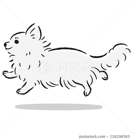 可愛的手繪插圖正在奔跑的吉娃娃 可愛的手繪插圖正在奔跑的吉娃娃 116206563