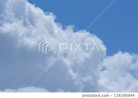Summer blue sky and white clouds 116206844