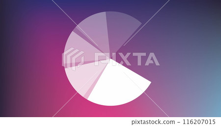 Image of pie chart statistics over pink background 116207015