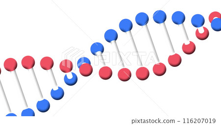 Image of 3d dna strand spinning over white background 116207019