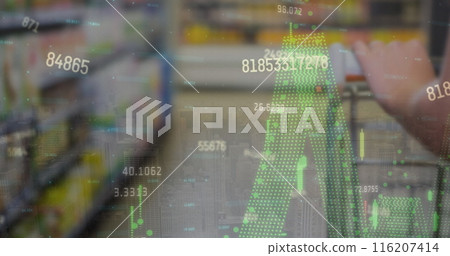 Image of financial data processing over shopping trolley 116207414