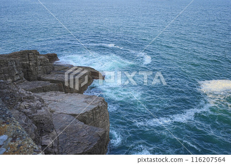 Wave-hitting rock 116207564