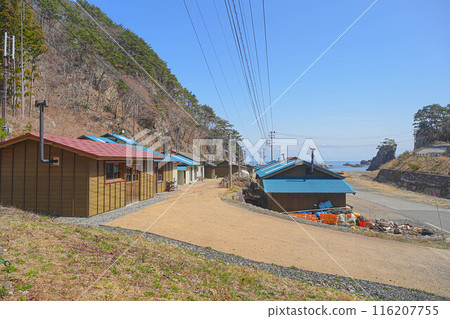 桌子海灘組 桌子海灘組 116207755