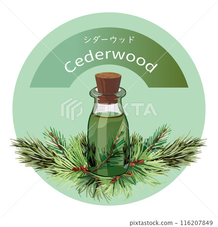 Cedarwood and cedarwood essential oil bottle, essential oil, aroma, aromatic plants 116207849