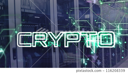 Image of crypto text with connected arrows and computer language over data server racks Image of crypto text with connected arrows and computer language over data server racks 116208339