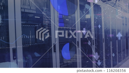 Image of graphs, globes, connected arrows and computer language over data server racks 116208356