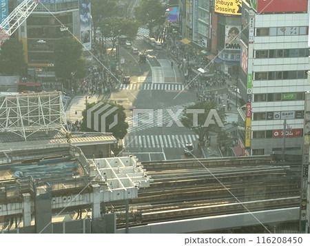Shibuya scramble intersection Shibuya scramble intersection 116208450
