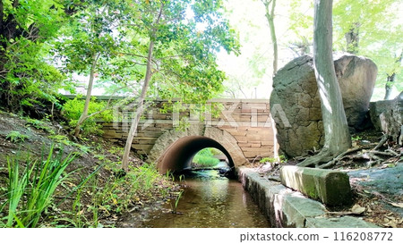 新綠 三鷹站北口 玉川上水 116208772