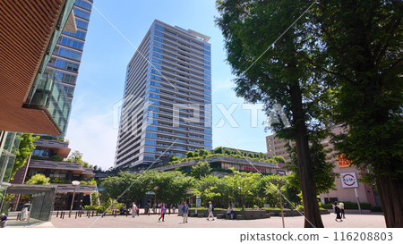 綠意盎然、天空晴朗的小金井節慶庭院 116208803