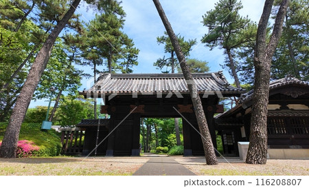 綠意盎然、天空晴朗的伊達家大門 116208807