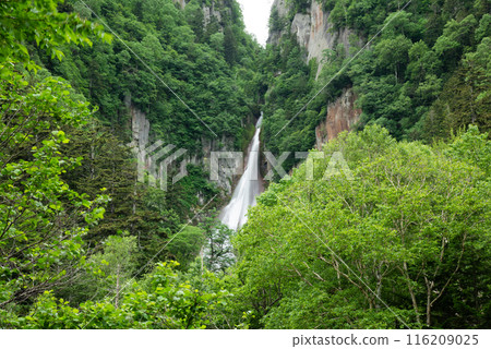 Sounetsu流星雨瀑布 116209025