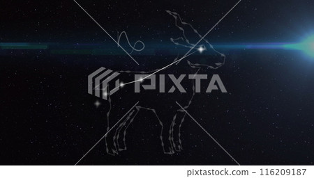 Image of connected dots forming capricorn symbol and lens flares over black background 116209187