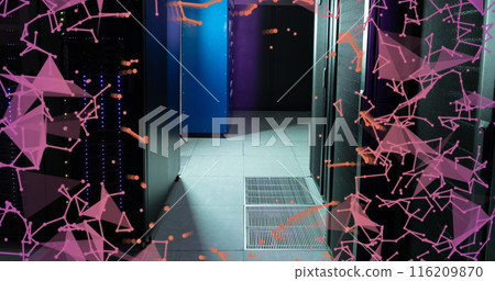 Image of plexus networks and network of connections against computer server room Image of plexus networks and network of connections against computer server room 116209870