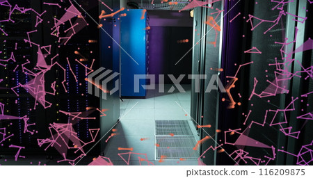 Image of plexus networks and network of connections against computer server room Image of plexus networks and network of connections against computer server room 116209875