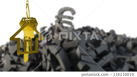 Image of key in house keychain over 3d pilled up euro symbols against white background Image of key in house keychain over 3d pilled up euro symbols against white background 116210019