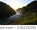 水稻梯田上的日落 116210292