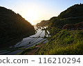 水稻梯田上的日落 116210294