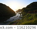 水稻梯田上的日落 116210296