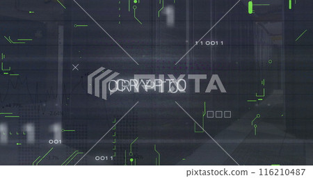 Image of crypto text and binary codes with circuit board pattern over data serve room 116210487