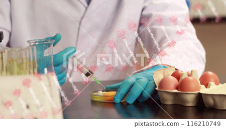 Image of dna strand rotating over midsection of scientist testing egg 116210749