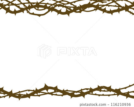 Background of thorns, thick vines 116210936