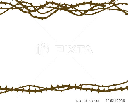 Background of thorns, thin vines 116210938