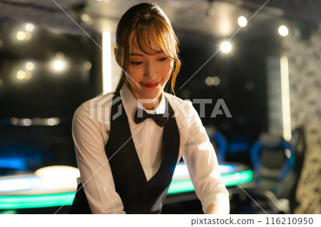 Roulette Casino Roulette Casino 116210950