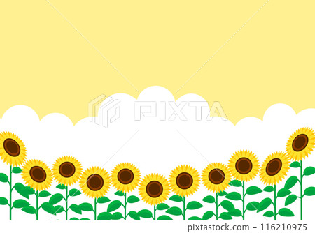 Summer sunflower and cute frame background 12 yellow 116210975
