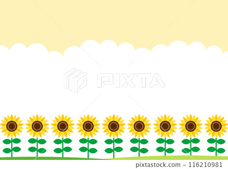 Summer sunflower and cute frame background 14 yellow 116210981