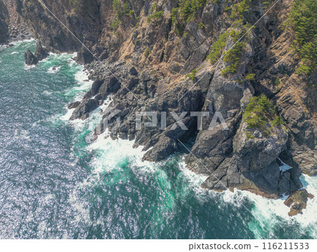 Kurosaki coast 116211533
