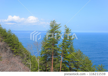 Kurosaki coast 116211539