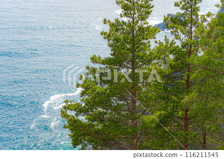 Kurosaki coast 116211545