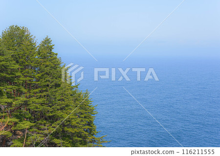 Kurosaki coast 116211555
