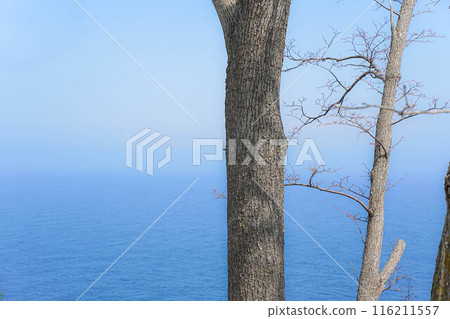 Kurosaki coast Kurosaki coast 116211557