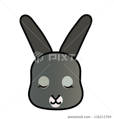 Rabbit face illustration Rabbit face illustration 116211704