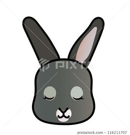 Rabbit face illustration Rabbit face illustration 116211707