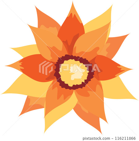 Flower Autumn Watercolor Set 116211866