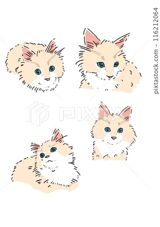 Siberian illustration, beige, simple color 116212064