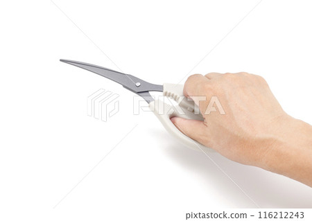 Kitchen scissors Kitchen scissors 116212243